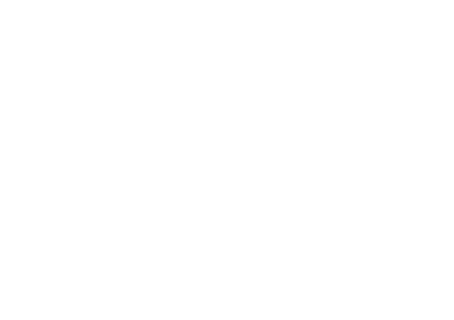 Logotipo PNG blanco_Projects